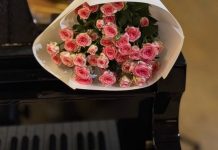 Львівський органний зал запрошує на події до Дня міста Львова